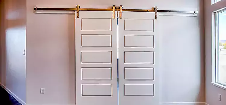 Glass Barn Door with Installation Hardware Kit Columbia Heights