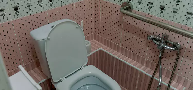 Meeting Diverse Needs With Accessible Restroom Solutions in Columbia Heights, MN