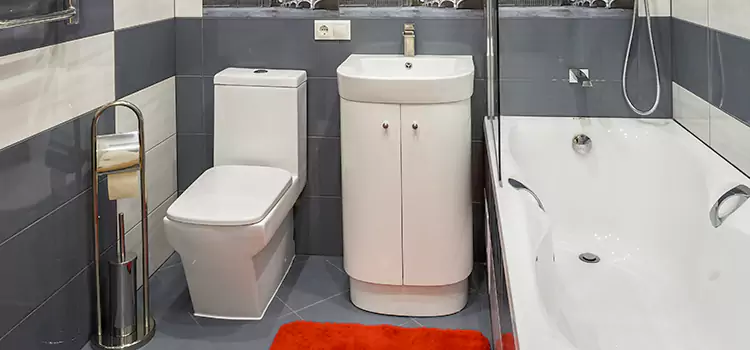 Hansgrohe Shaving Mirror Columbia Heights